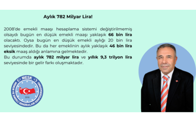 Emekliye Ayrılması Gereken Bütçe Nereye? Aylık 782 Milyar Lira!